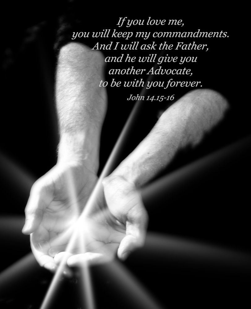 comfort and promise john 14 These promises inspire comfort promises for: comfort in the lord john 14:14 if ye shall ask any thing in my name, i will do it compiled by katie stewart. comfort and promise john 14 These promises inspire comfort promises for: comfort in the lord john 14:14 if ye shall ask any thing in my name, i will do it compiled by katie stewart.
