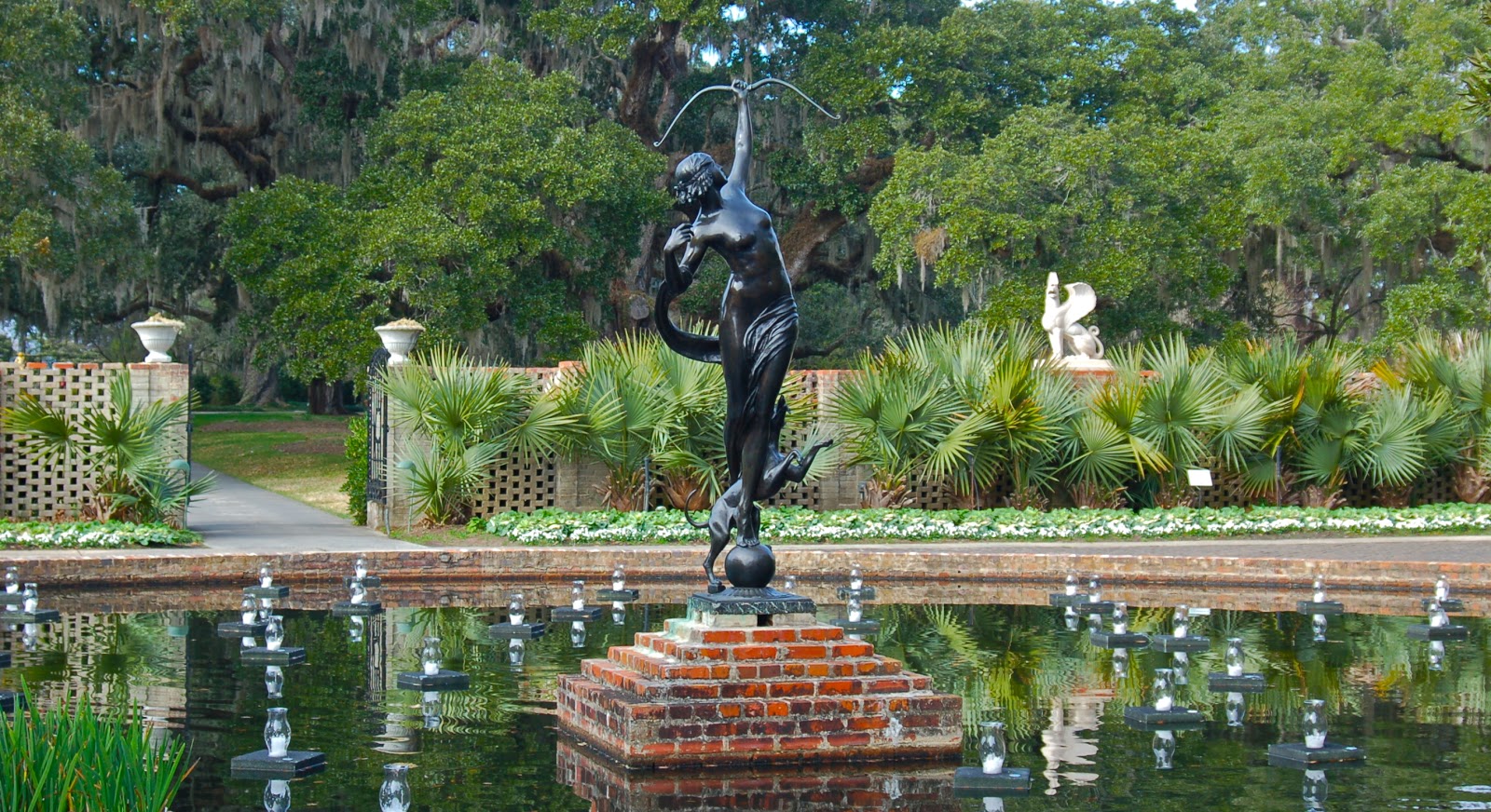 The Traveling Gardener January 2013