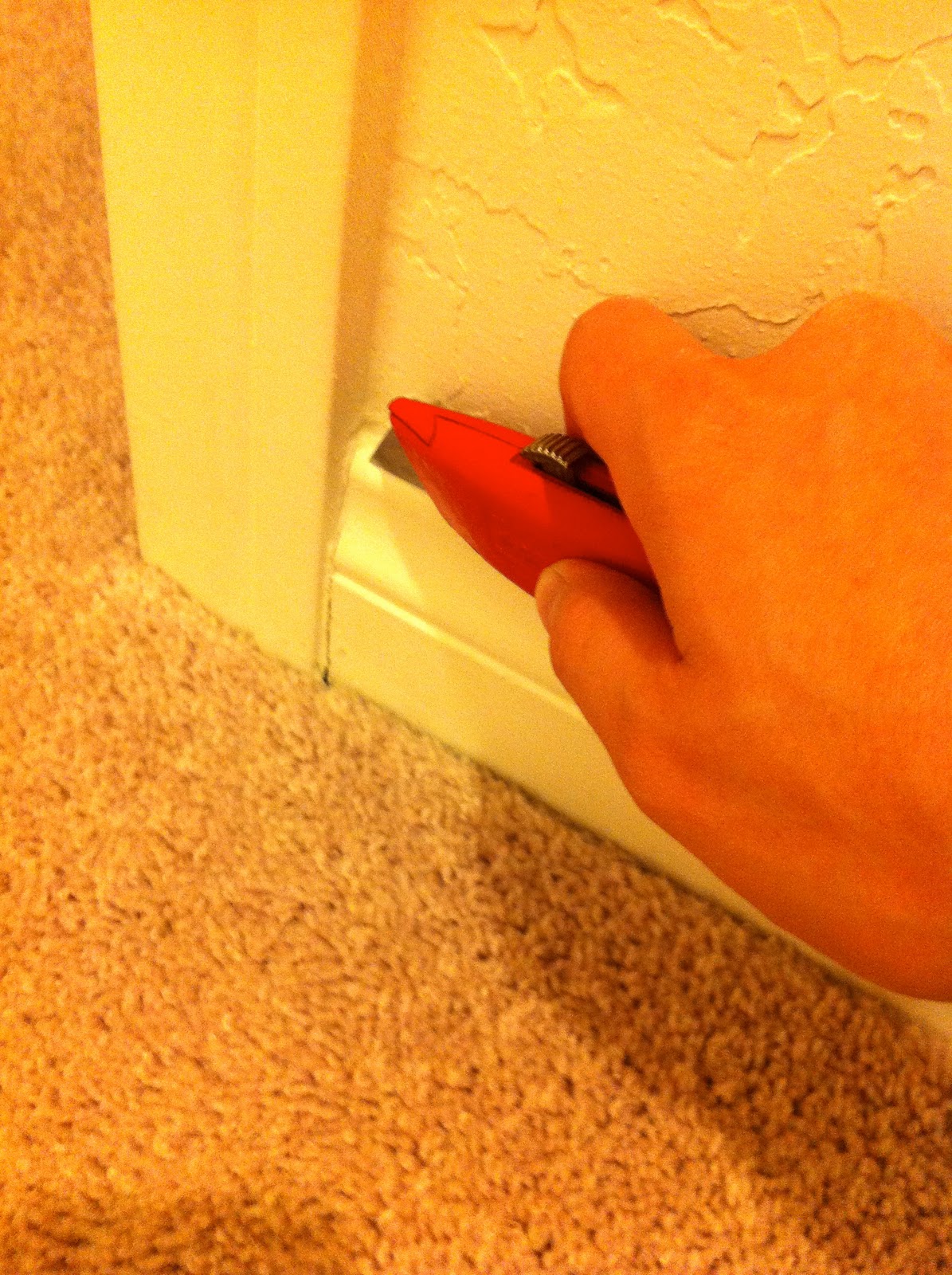 tear out carpet . stephrything