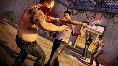 Sleeping Dogs Limited Edition