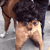 Cómo hacer que un hetero te bese el culo #2