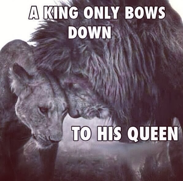 Bow Down Basics The Queen Iswalkingby Barbrastreisand Barbramemes