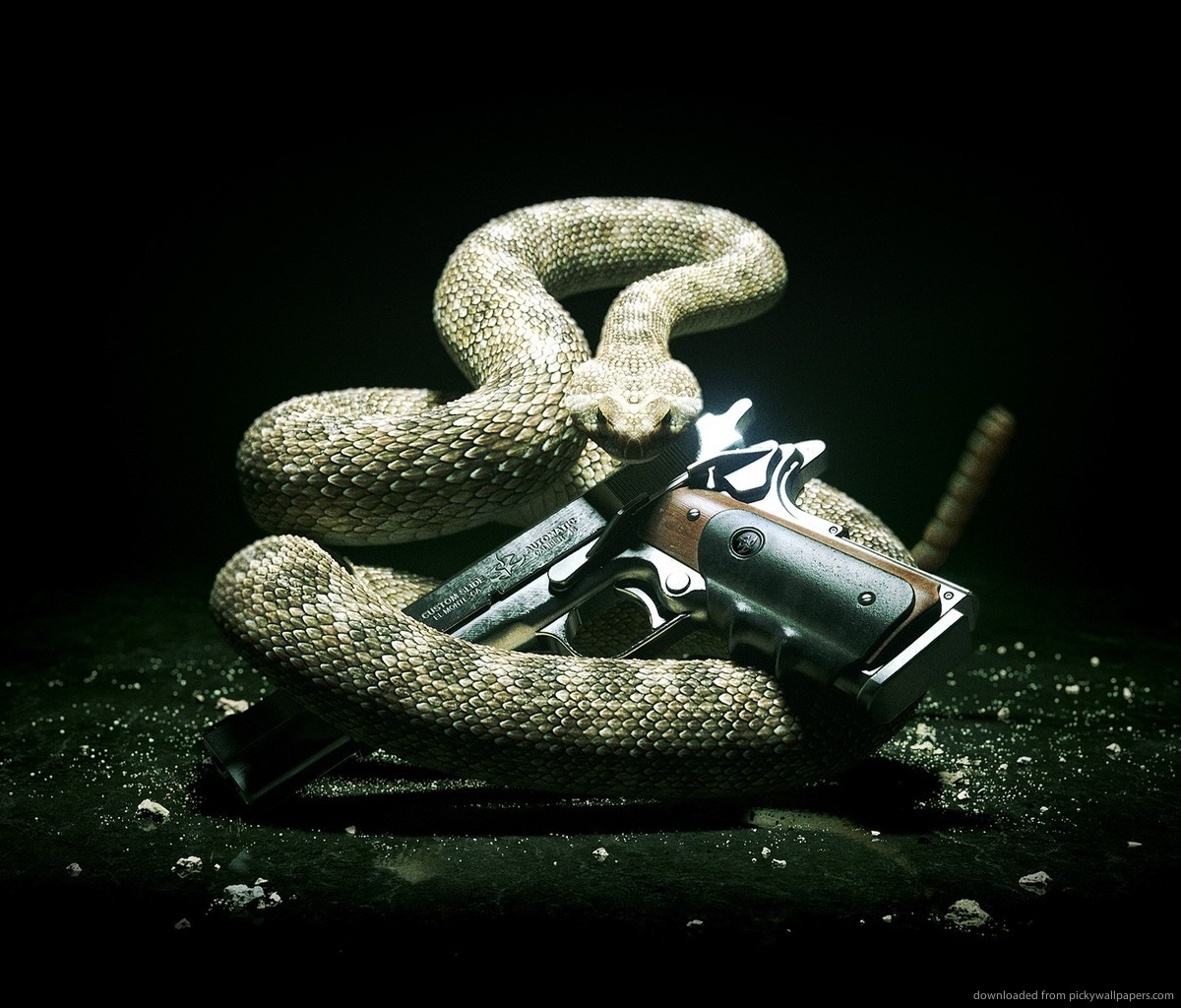 New Gunner Journal Leaping the Grand Canyon for want of a Rattlesnake