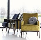 Green With Envy 1 Pic1