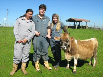 Ser Veterinário é ouvir miados, mugidos, balidos, relinchos e latidos mas,