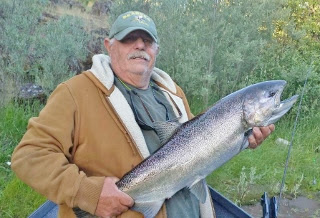 Rogue-river-fishing