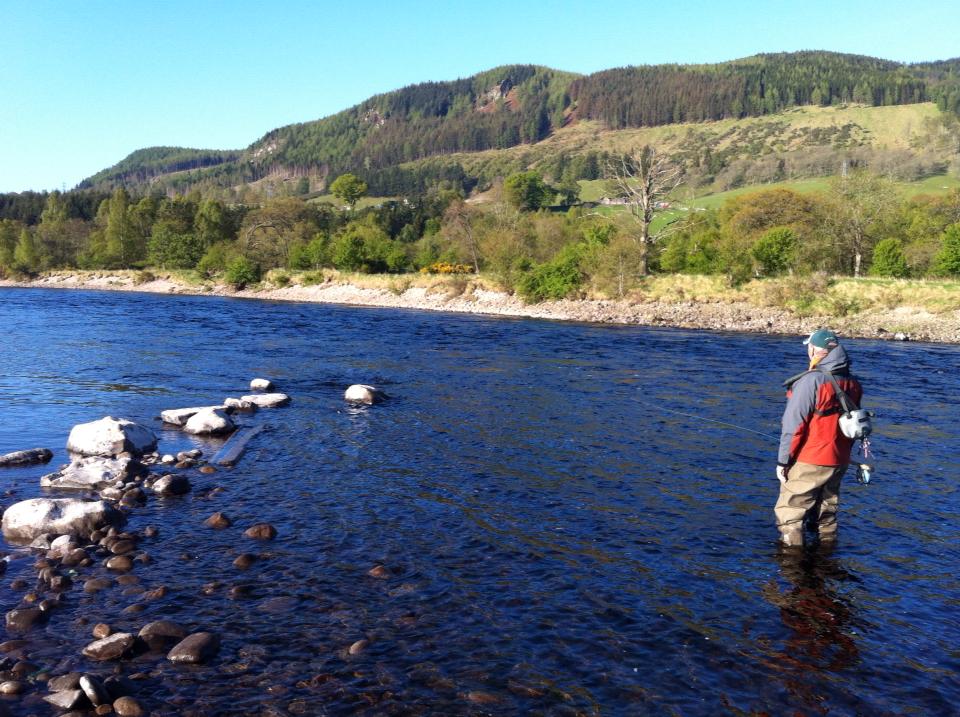 Salmon Fishing Scotland. Salmon Fishing Scotland Prospects for the river Tay, Perthshire