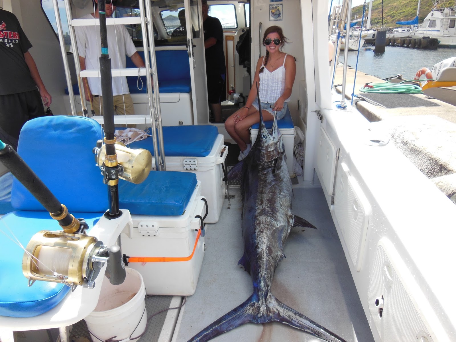 C-lure Fishing Chaters Kauai Hawaii: Morning Trip Blue Marlin Kauai