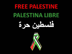 Free Palestine!