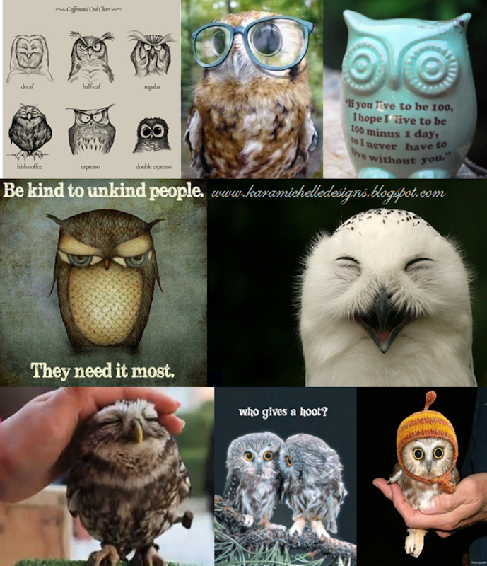 kara.michelle.designs The Owl Craze... Hoooo knew?