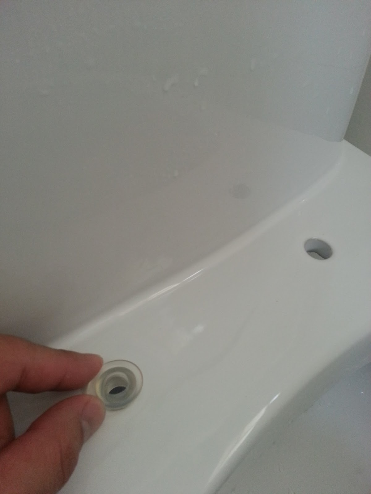 Our HDB Flat Renovation in 2009 Changing Toilet Bowl Seat Cover Baron