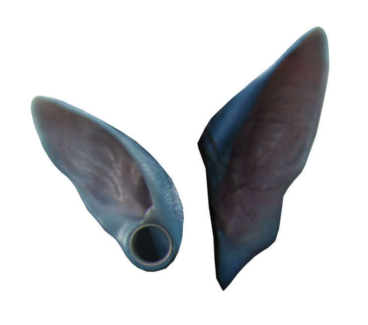 Linksurls Blogspot Na’vi ear