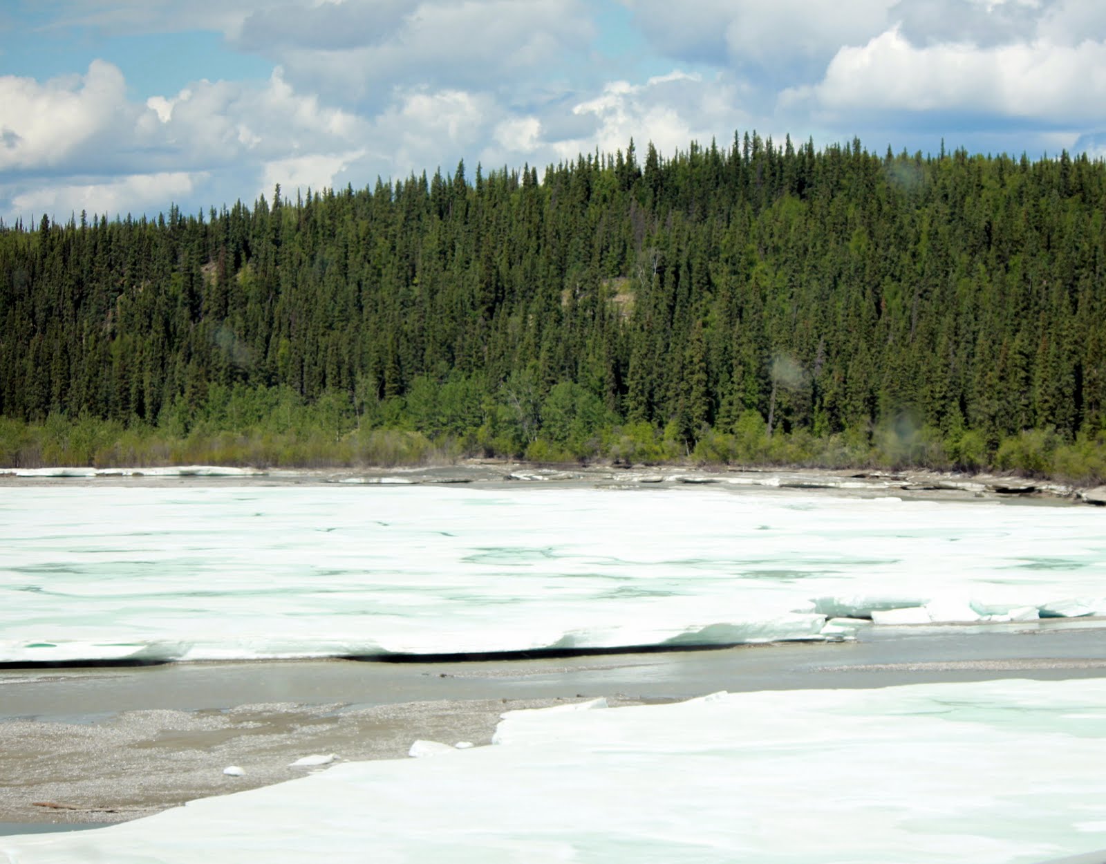 RV Alaska 2011 DAY 21; DELTA JUNCTION, ALASKA