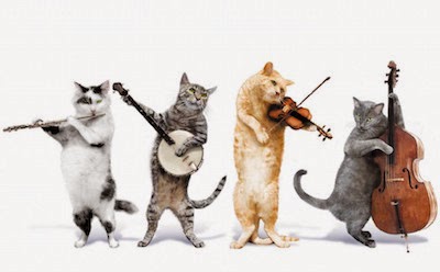 Music for Cats image