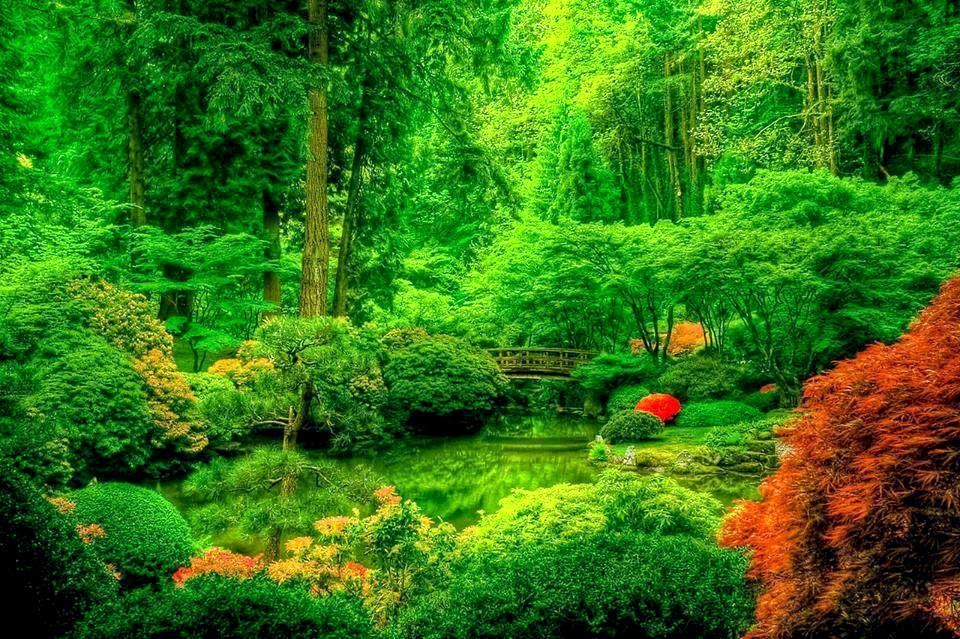 Terapi Mata, Hati Dan Minda - Relaks Minda