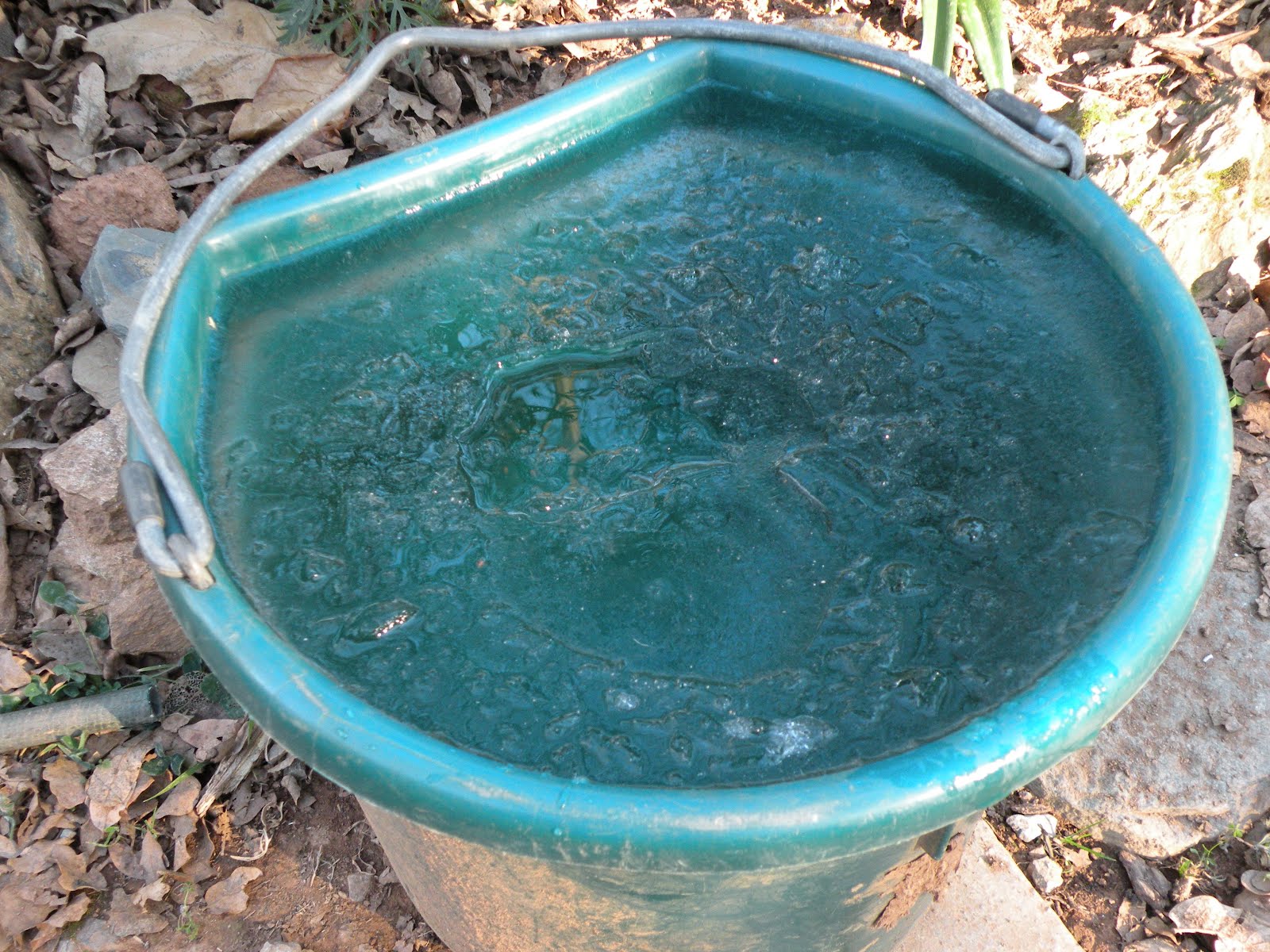 Icy Water Bucket