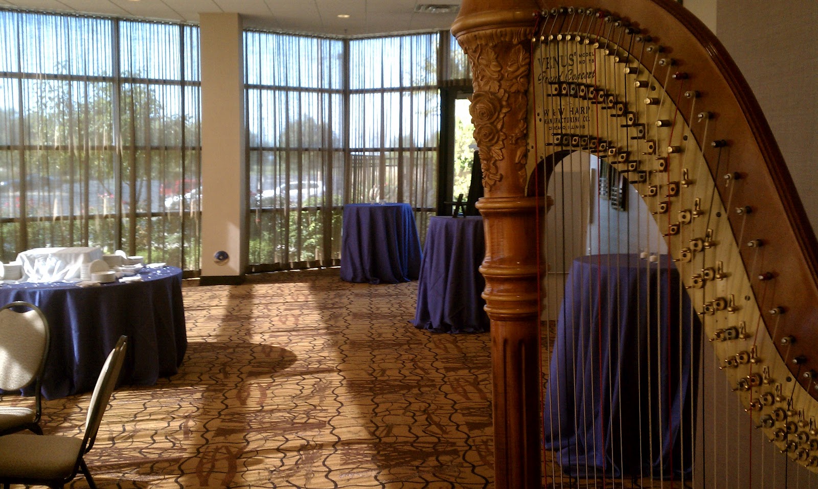 South Bend Wedding Reception Music Harpist At The Hilton Garden
