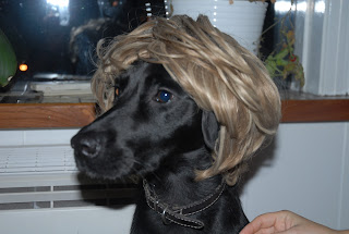 Dyr og natur: oktober 2011