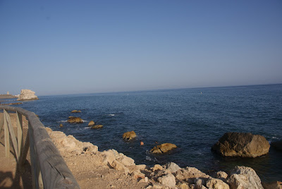 DSC01848