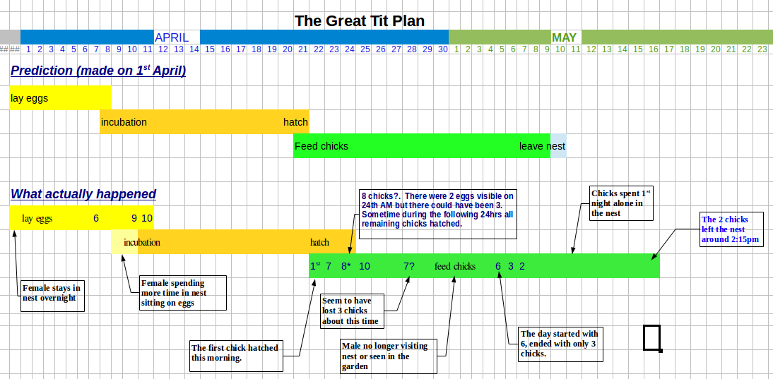 BirdBox2014: how things panned out