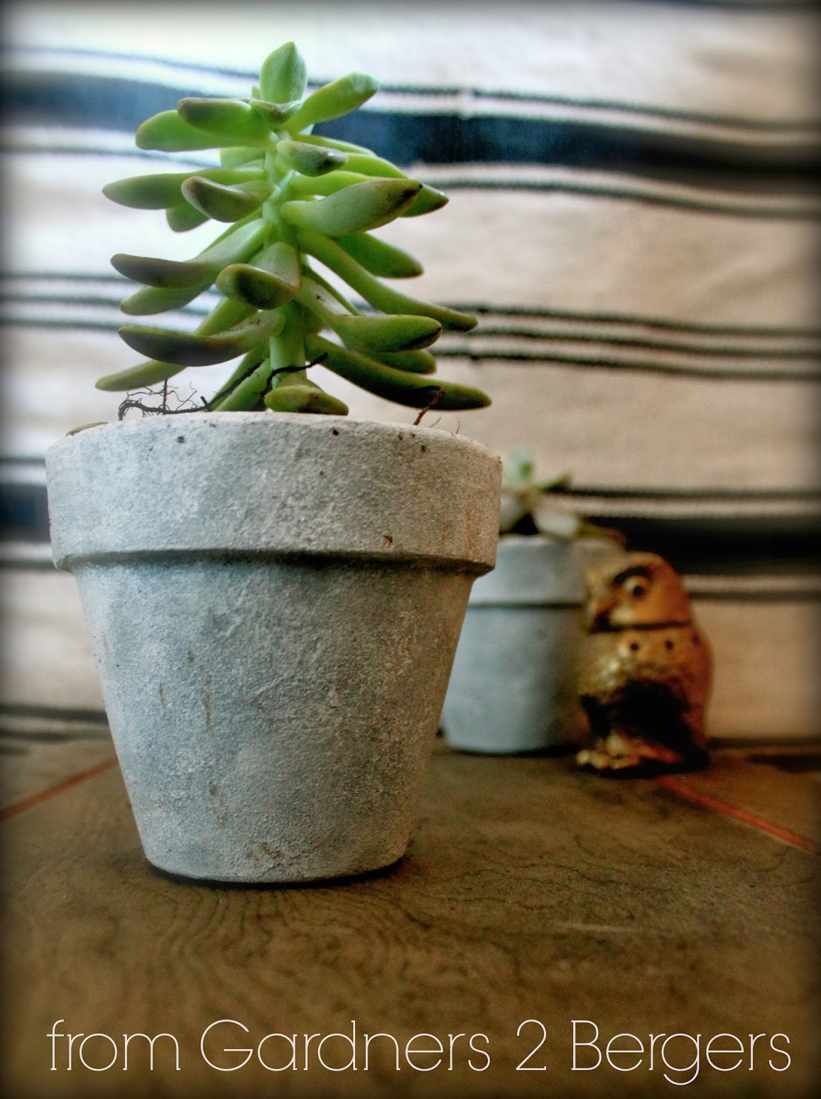 from Gardners 2 Bergers DIY [Faux] Concrete Planters