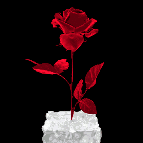 Te regalo una rosa Www.tvn.hu_a40c04f2ea70b6c0ab22a607d68eeb70+%281%29