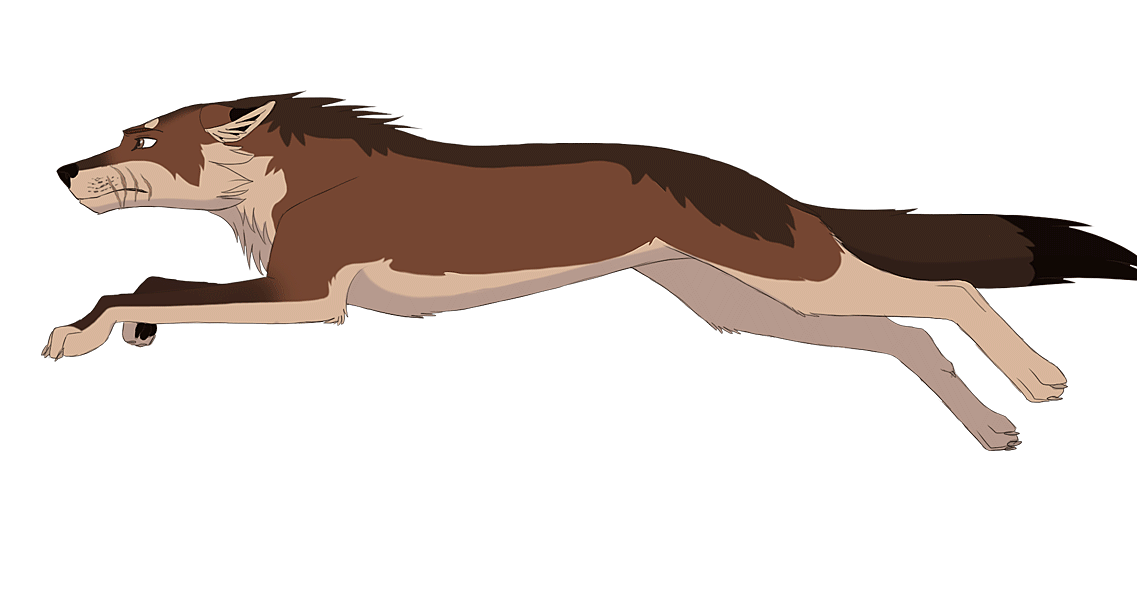 AjStudios Blog: Liv's Advanced Wolf Pack AnimalJam Anatomy