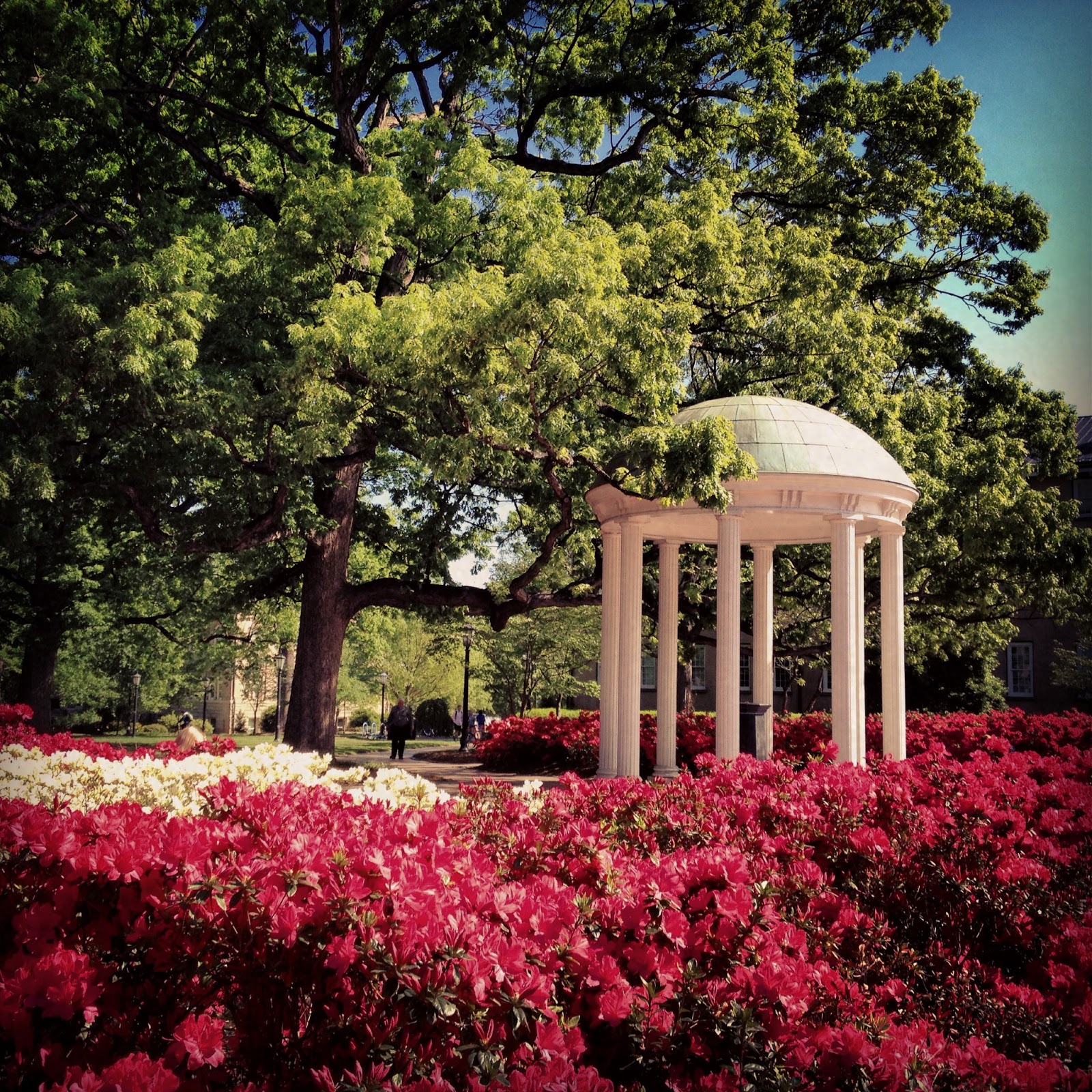 The Top 5 Reasons to go to UNC Summer School Tar Heel Blog