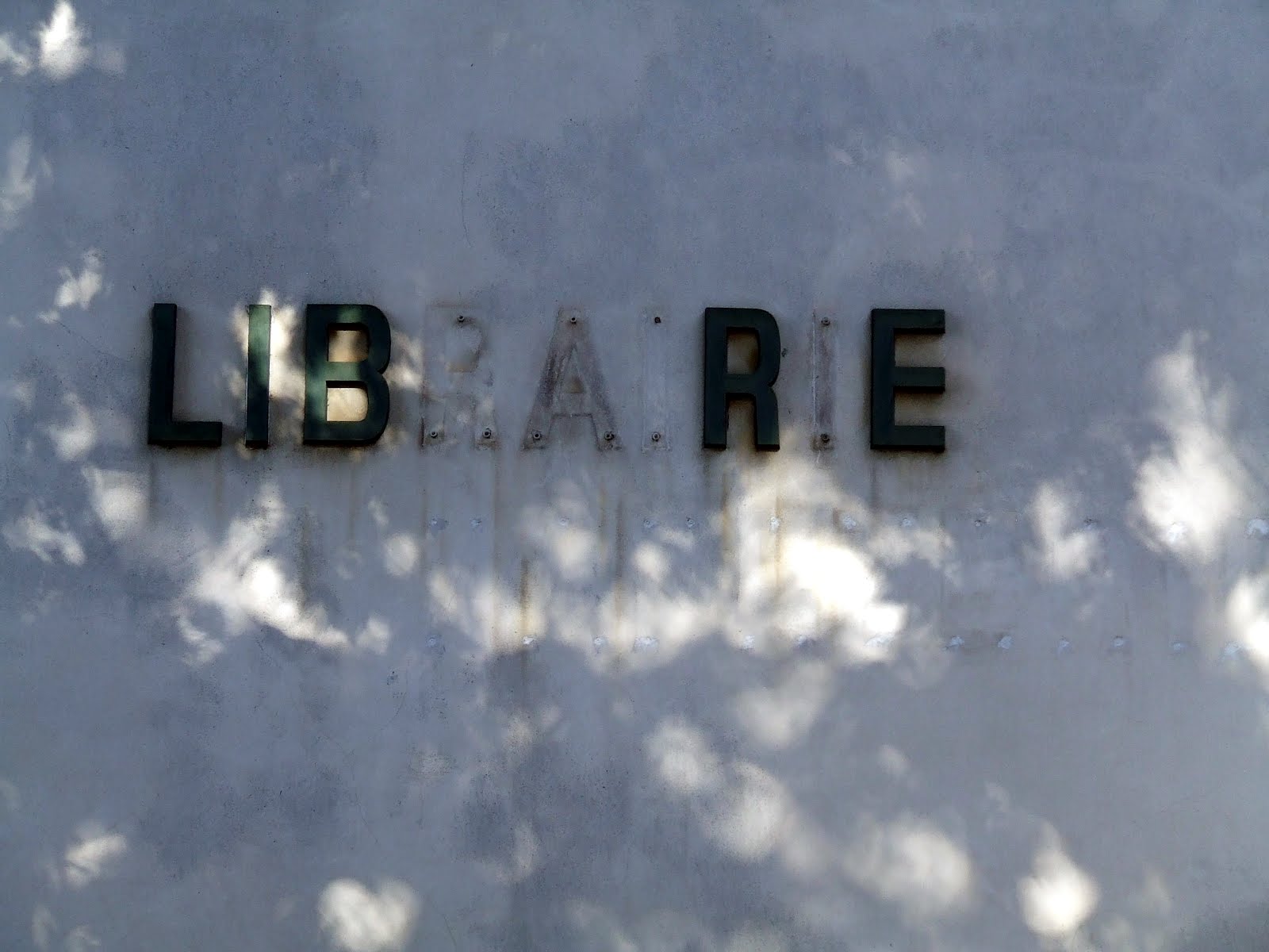 cecile de minibus suce