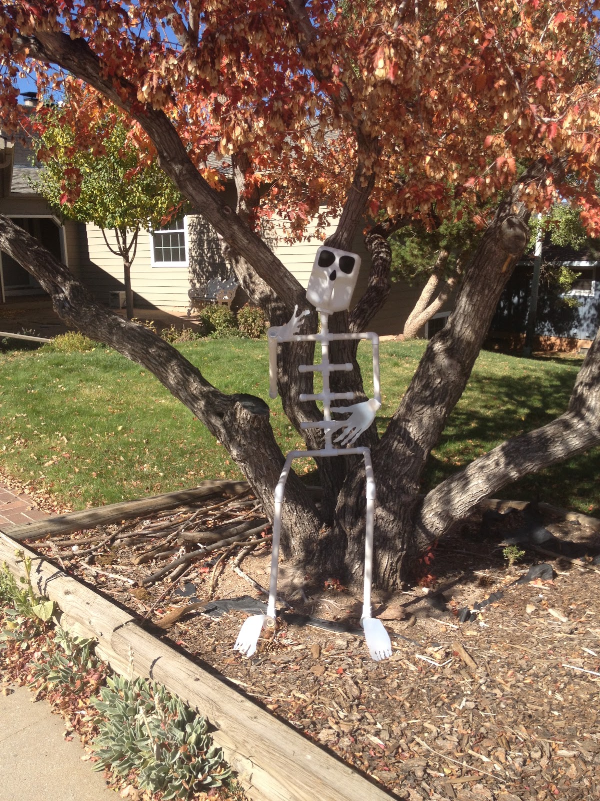 mountains & mode DIY Halloween Skeleton