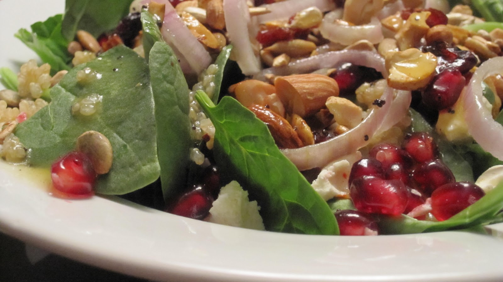 Red Deer Foodie Bird Seed Salad with Pomegranate