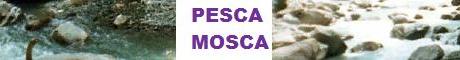 PESCA MOSCA