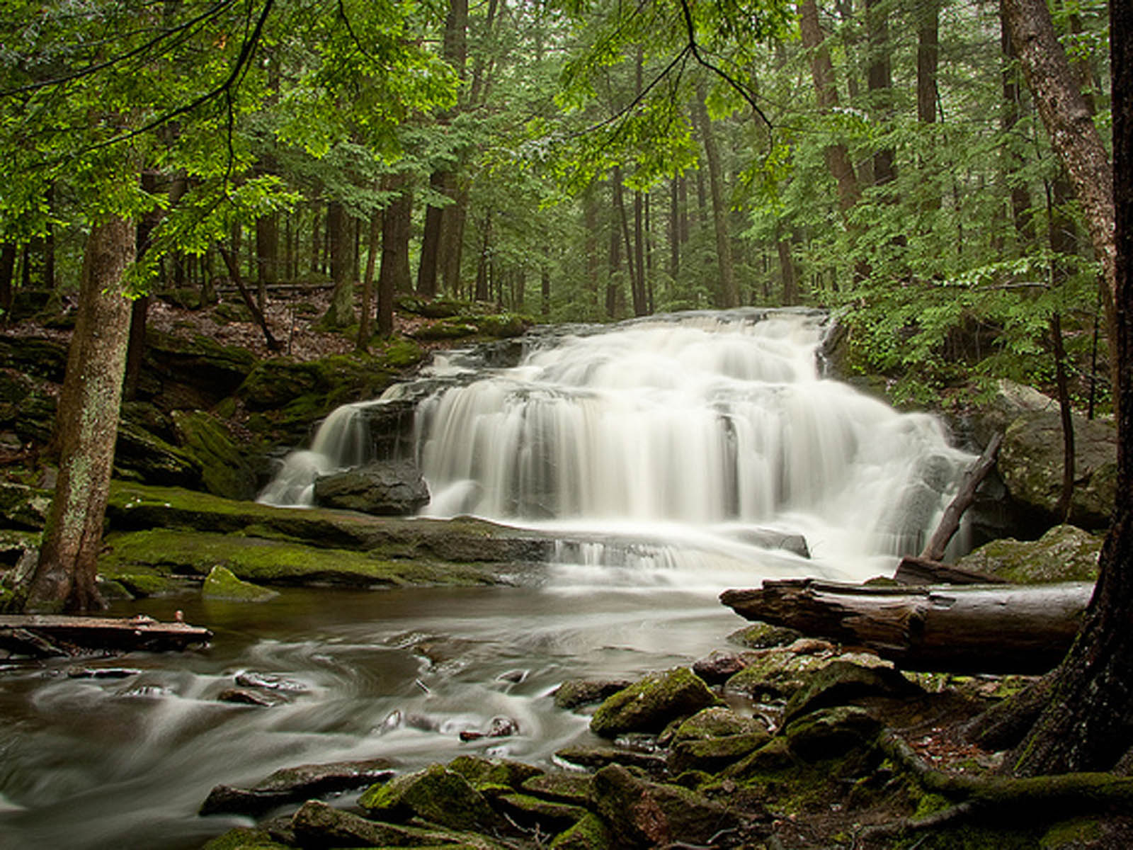 wallpaper Brook Falls Wallpapers