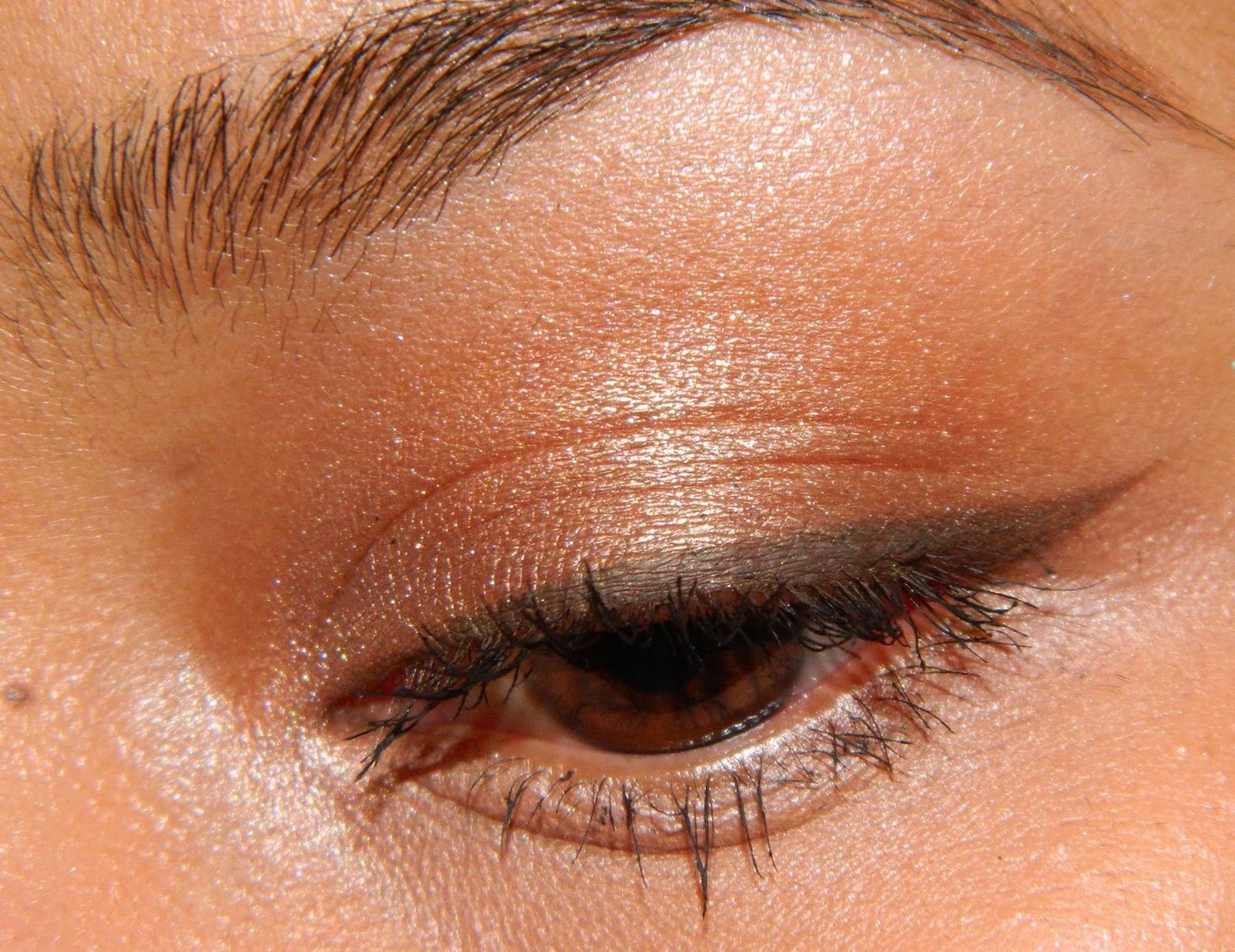 Blush Tree MAC Dipdown Fluidline Review, Swatches and Photos