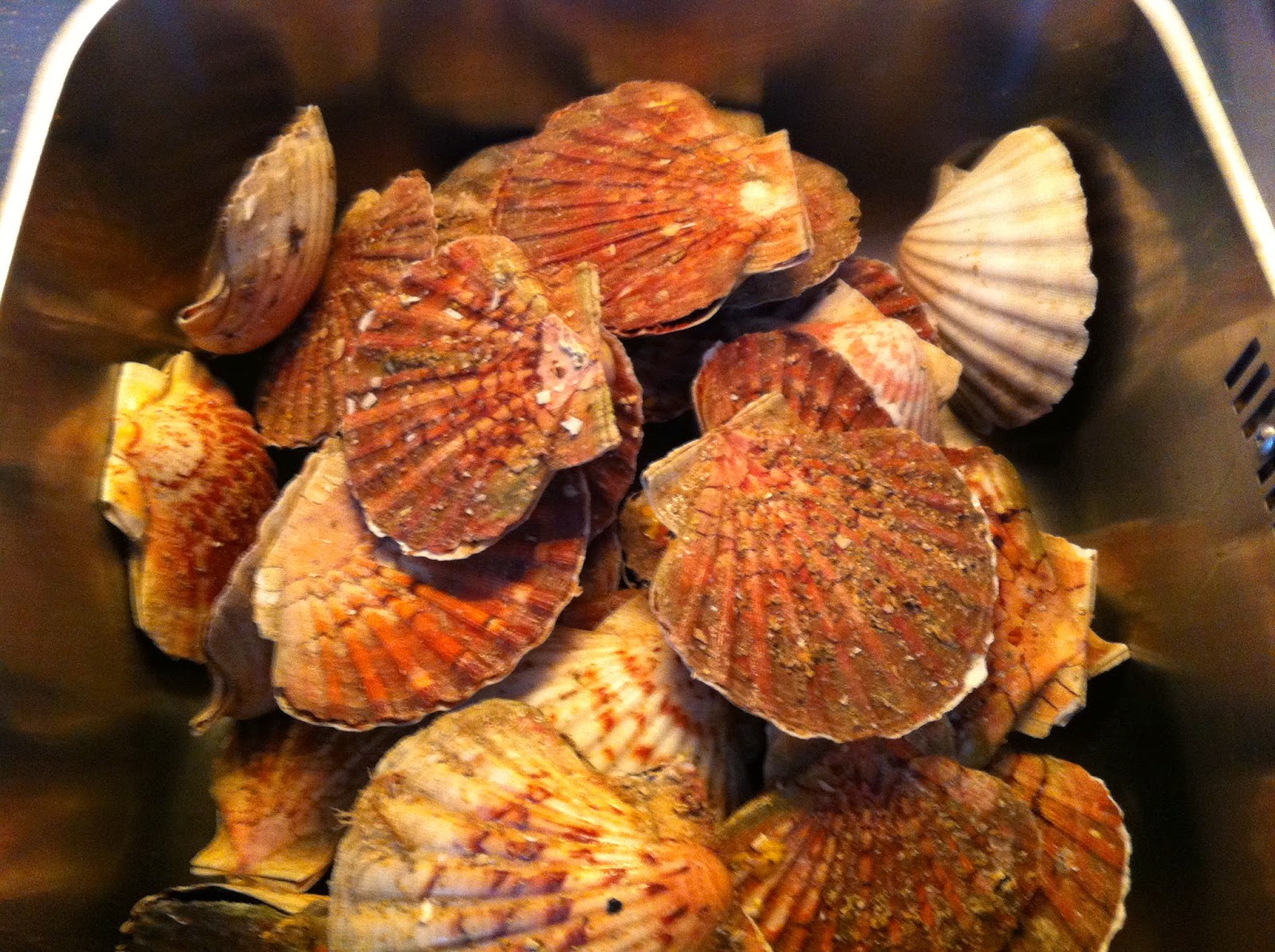 Miles and Morsels France Brittany Scallop Festival and Perfectly PanSeared Scallops