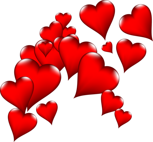 Image Gallery kalp