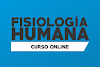 Fisiologia Humana - online