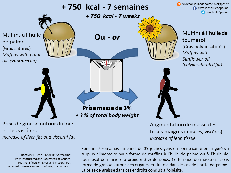huile+de+palme+et+obesit%C3%A9.png