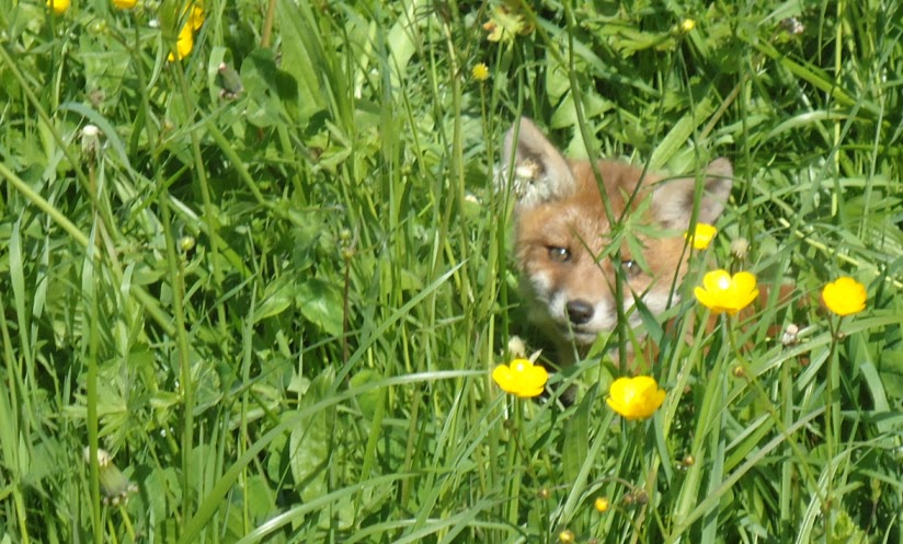 rencontres cancérologie 2012