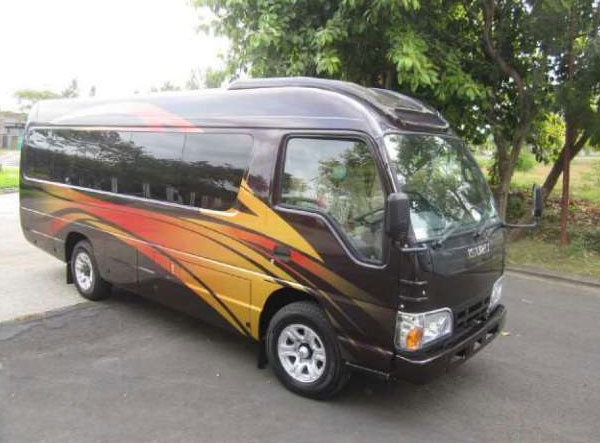 Isuzu Elf Bekas Tahun 2015 Karoseri Hartono Putra Mobil