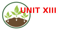 UNITXIII