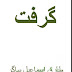 Grift - Tariq Ismail Sagar