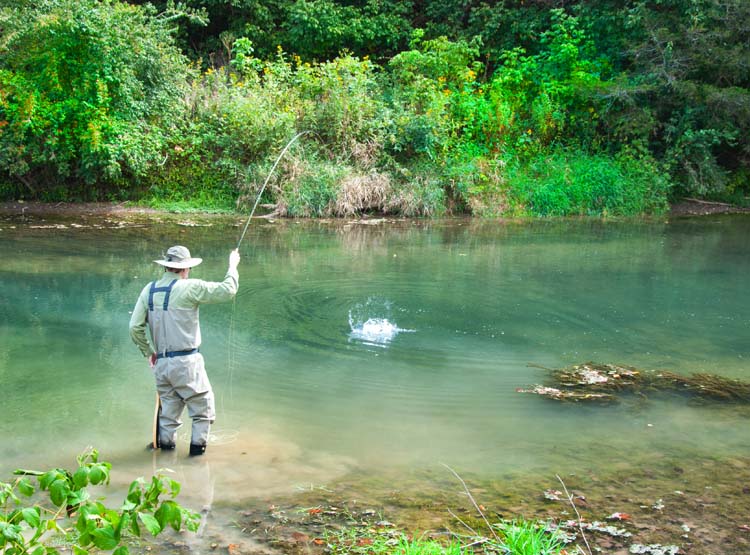 Chris Zimmer Fly Fishing in Virginia