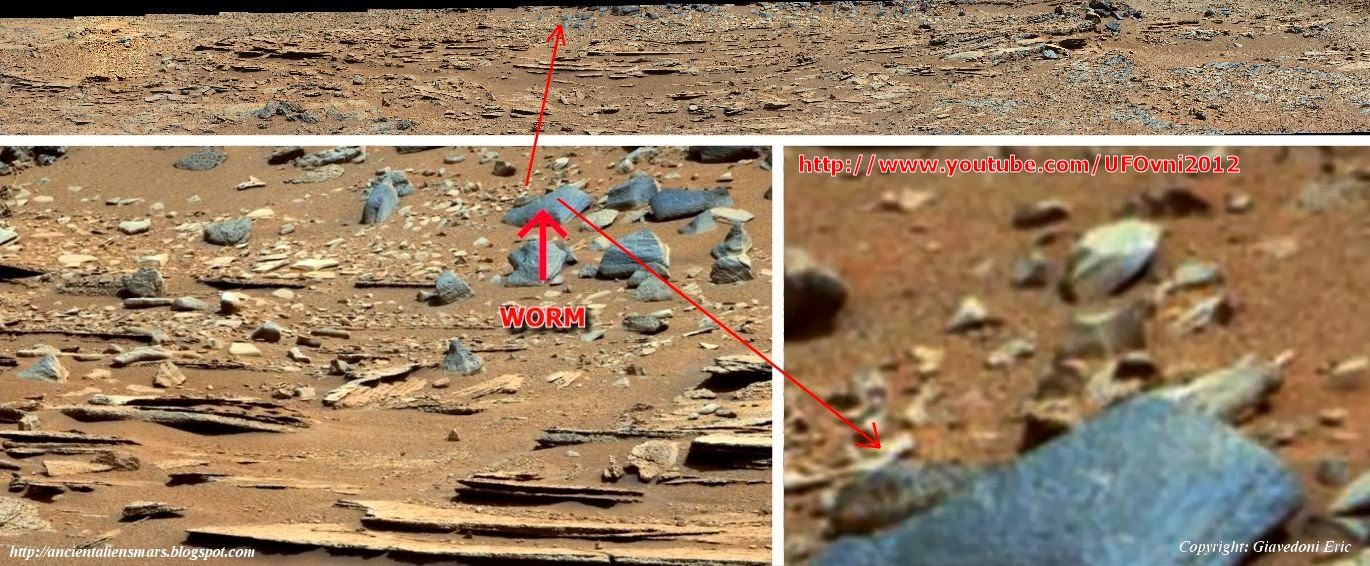 Ancient Aliens On Mars Live Animals On Mars