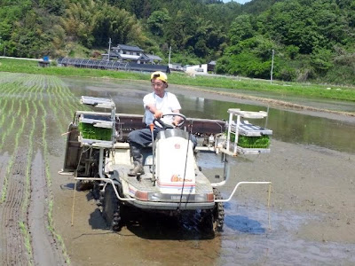 田植え