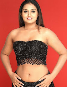 South indian actress navel show photos