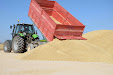 Harvesting barley 2013 with Claas Lexion