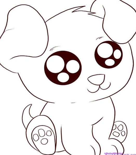 How to Draw Cute Cartoon Animal Drawings