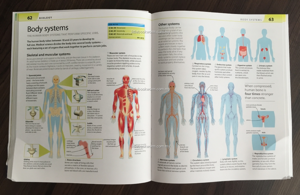 I need help with my physical science homework
