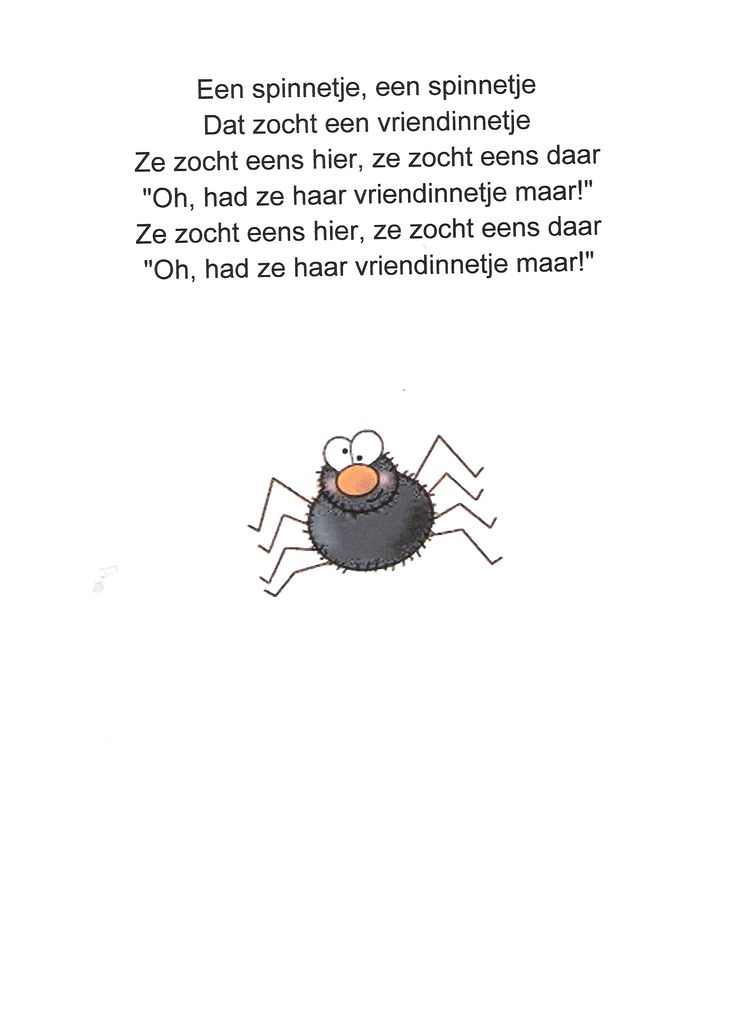 VERSJE SPINNETJE